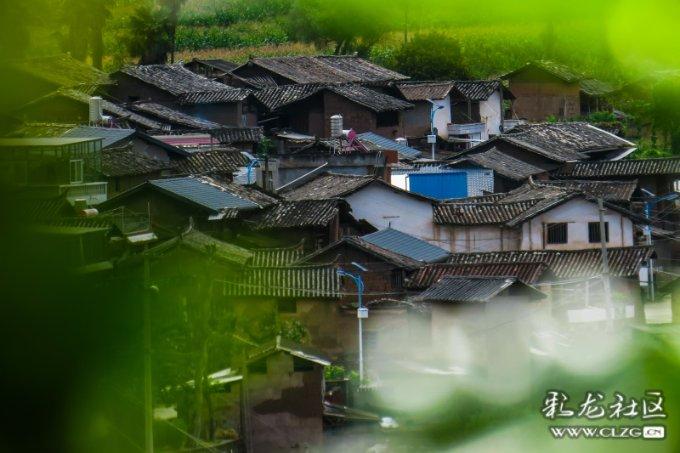 黑龙江省望奎县发布霾橙色预警